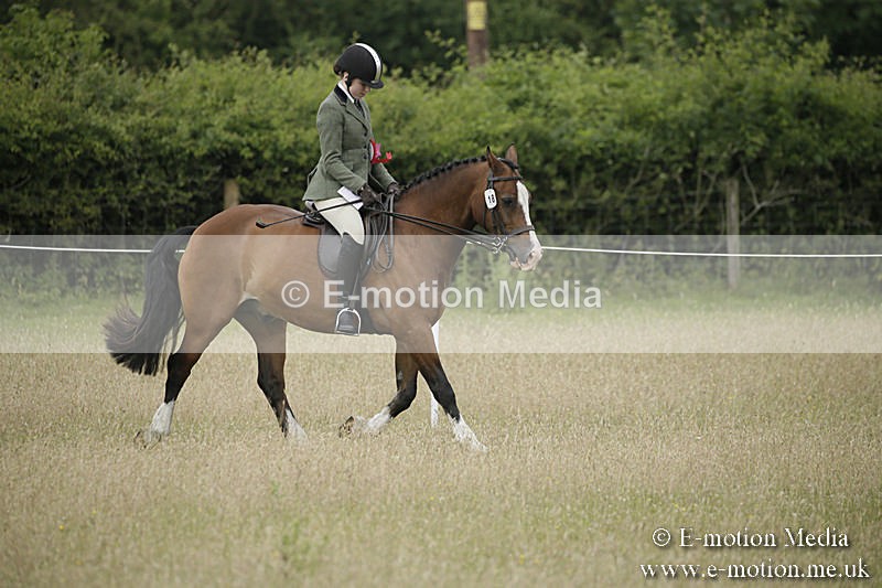 B230619-0361 - Bourne Valley Riding Club Summer Show 23/06/19