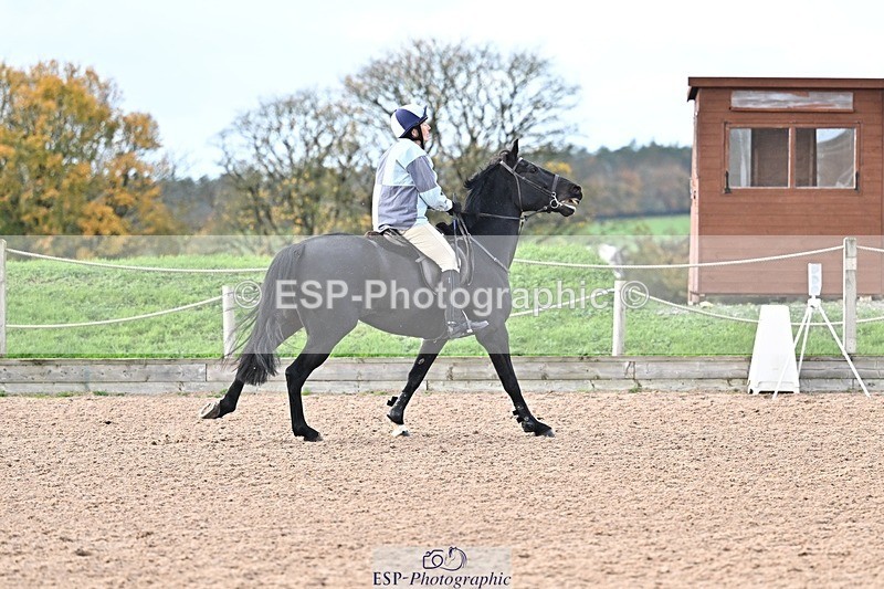 251102-115131-00389 - 80cm