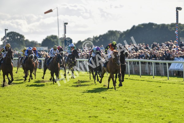 141023-Race 3-Montassib-0980 - Race 3 2.25pm Coral Sprint Trophy Handicap