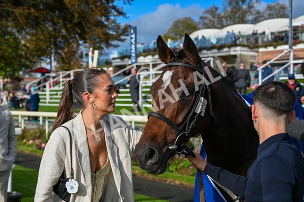 141023-Race 4-Colorada Dancer-9038 - Race 4 3.05pm Coral Racing Club EBF Maiden Stakes
