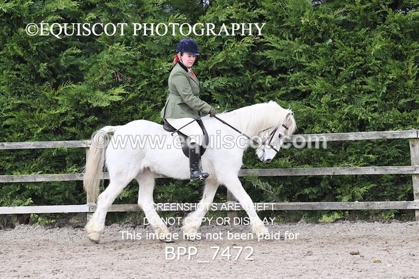 BPP_7472 - RING 1  (RIDDEN HORSES / IN HAND / VETERAN ETC)