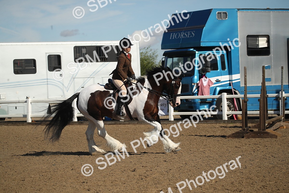 SBM_12741 - Class 504b - Junior Working Veteran - 40cm (20+)