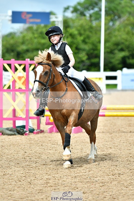 230804A-122855-02526 - Showjumping Competition