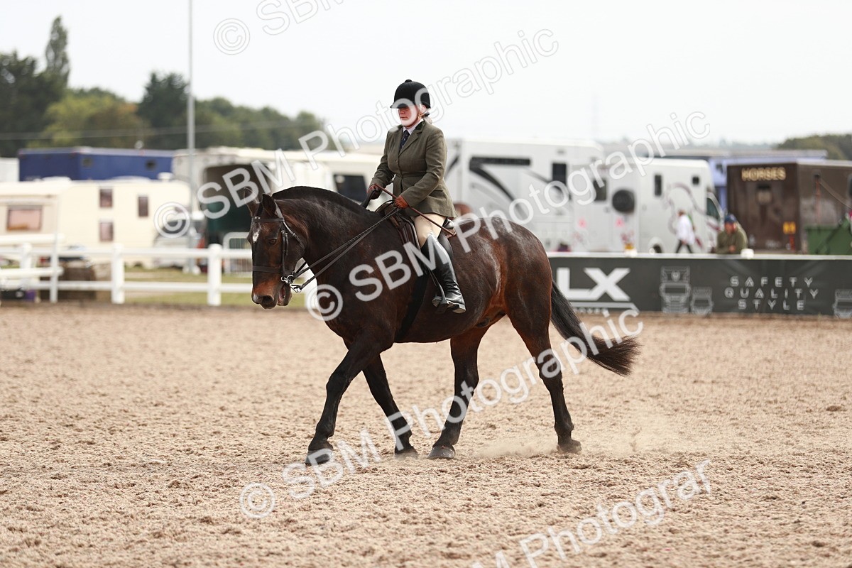 SBM_16785 - Class 214 Ridden Cob