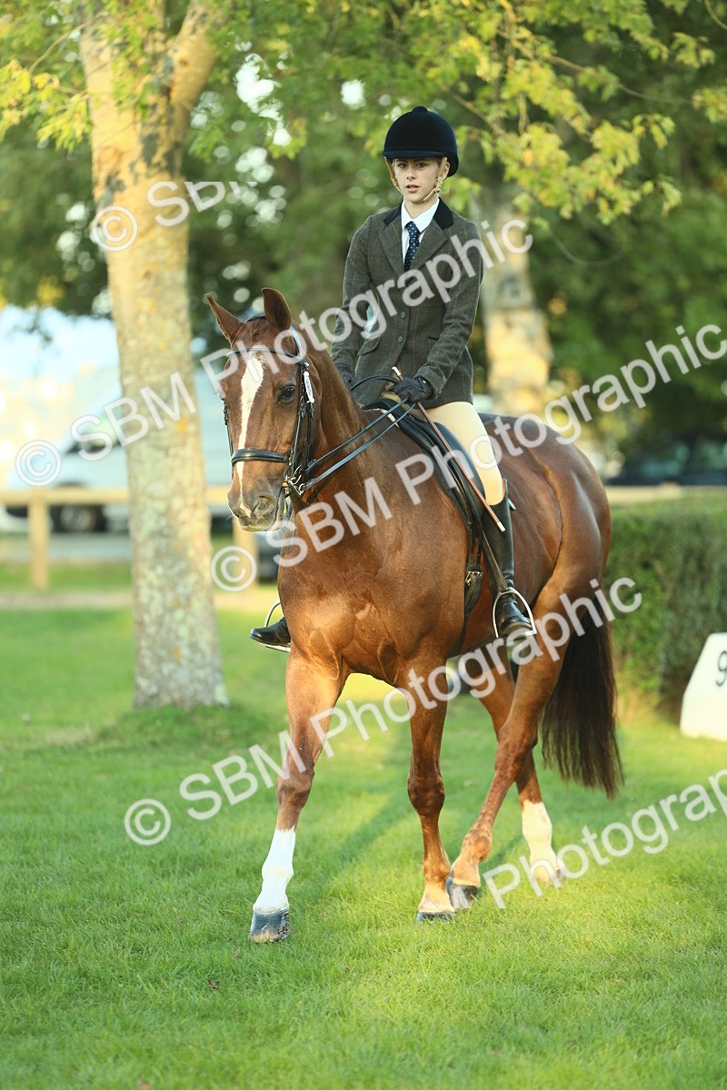 SBM_56465 - S14 - Riding Club Horse