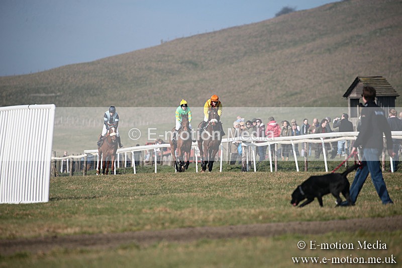 PtP 230219 313 - Vine & Craven Point-To-Point - Barbury 23/02/19