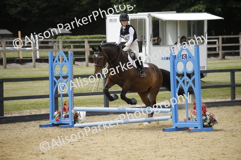 20250622-4152 - 50cm