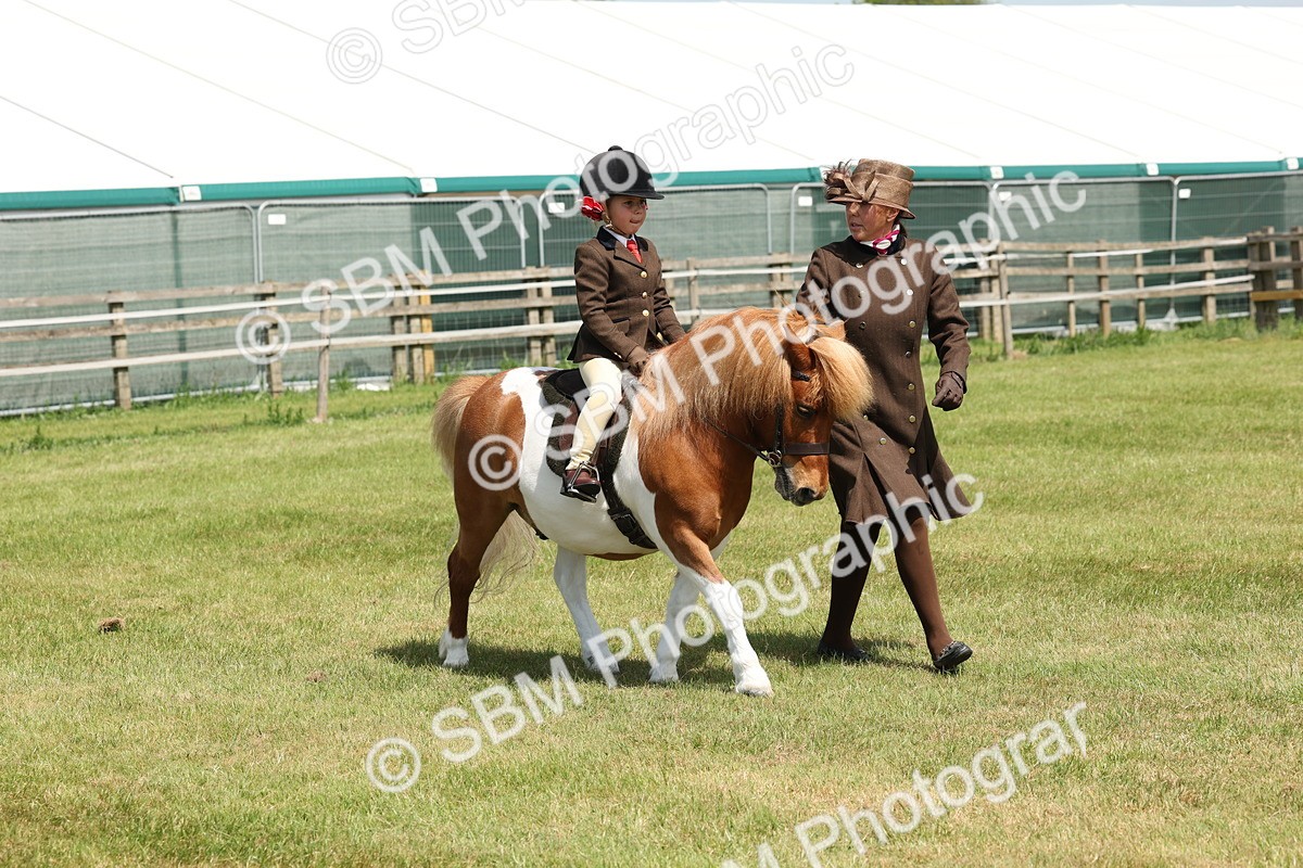 SBM_05262 - Class 24-25 - Mountain & Moorland In Hand Lead Rein and First Ridden