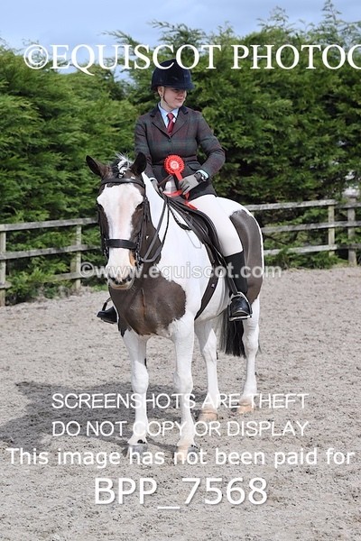 BPP_7568 - RING 1  (RIDDEN HORSES / IN HAND / VETERAN ETC)