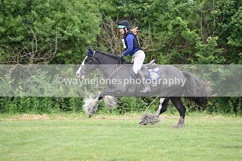 WJ6_3227 - Class 4 60cm