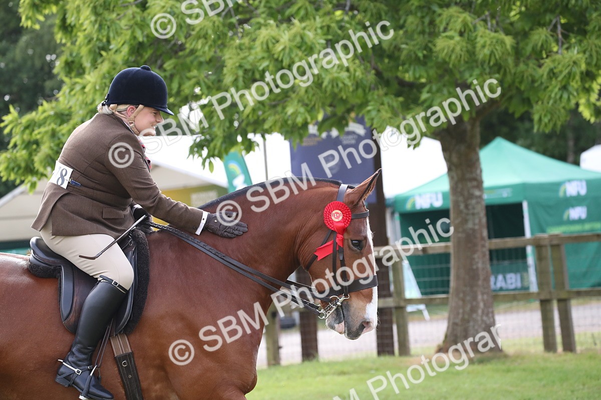 SBM_11174 - Class 92-93 - LIHS BSHA Rising Star Cobs