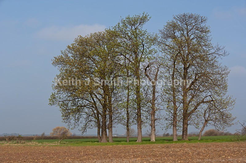 YR6M4702 - United Kindom