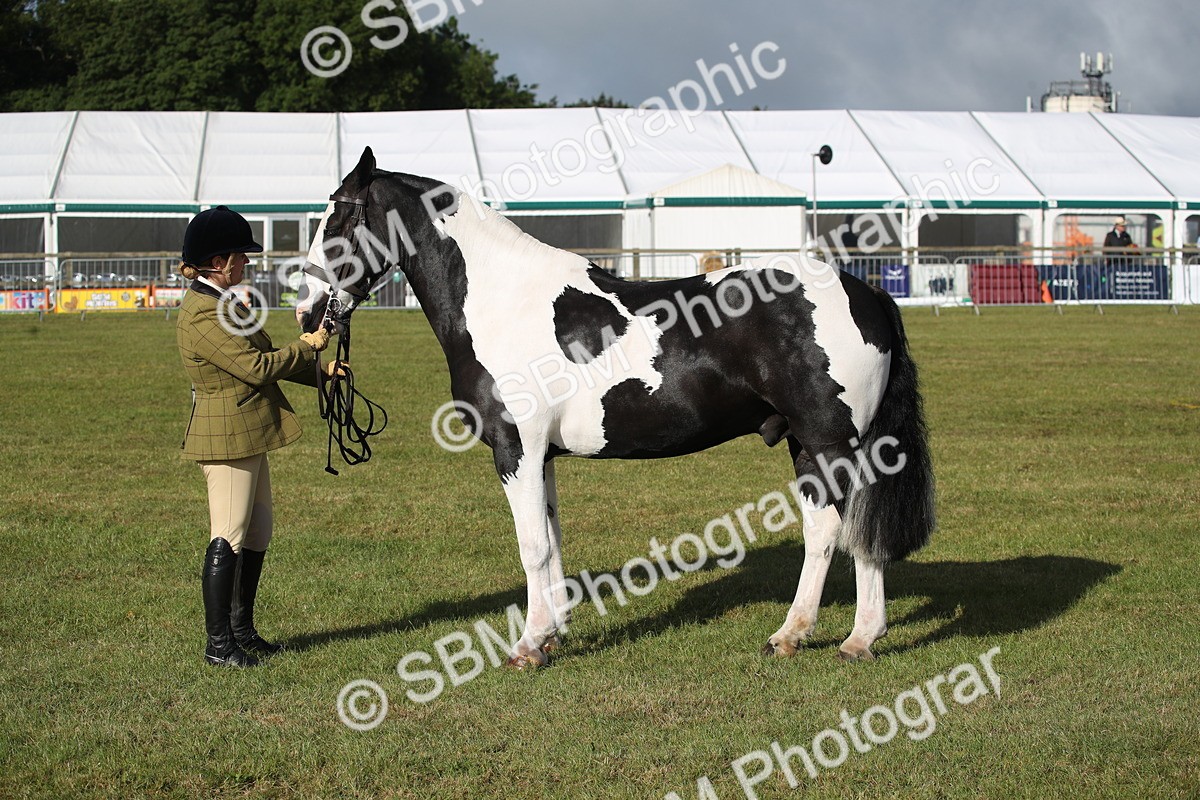 SBM_11130 - Class 92-93 - LIHS BSHA Rising Star Cobs