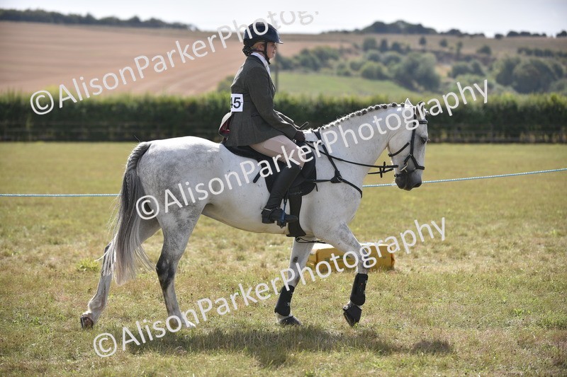 20260906-2695 - Class 13 - Working Hunter Horse or Pony