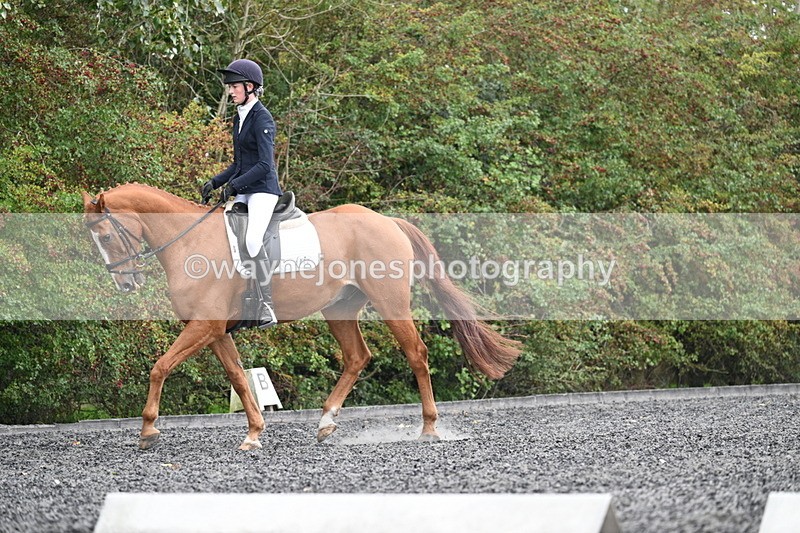 WJ7_6730 - Time 14:49 to 15:14