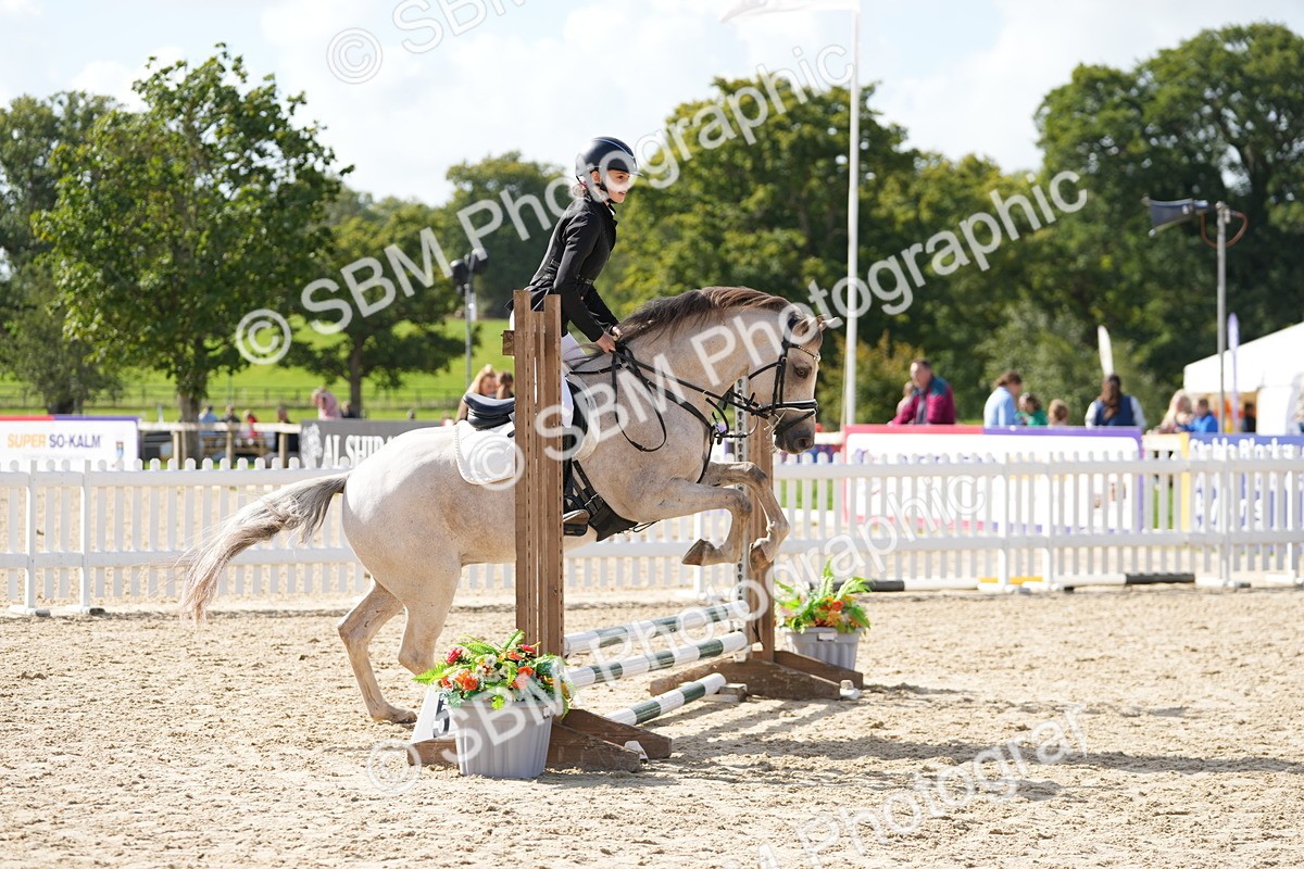 SBM_17840 - J58 - Clear Round 50cm