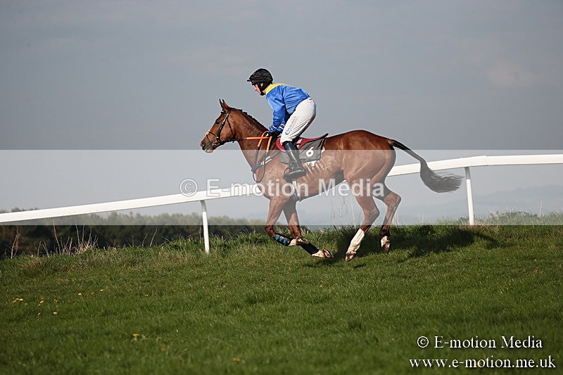 PtP 210418 590 - South & West Wilts Point-to-Point Larkhill 21/04/18