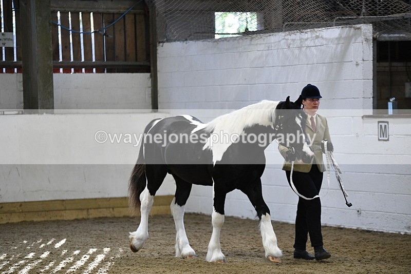 WJ5_3352 - Class 1 Youngstock