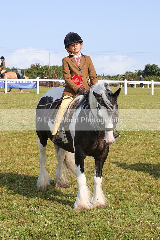 1X9A3407 - Class 28: Ridden Native/Trad Coloured Pony