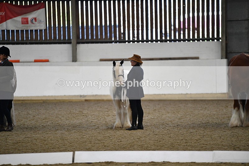 WJ5_5571 - Class 4 In hand M&M - small breeds