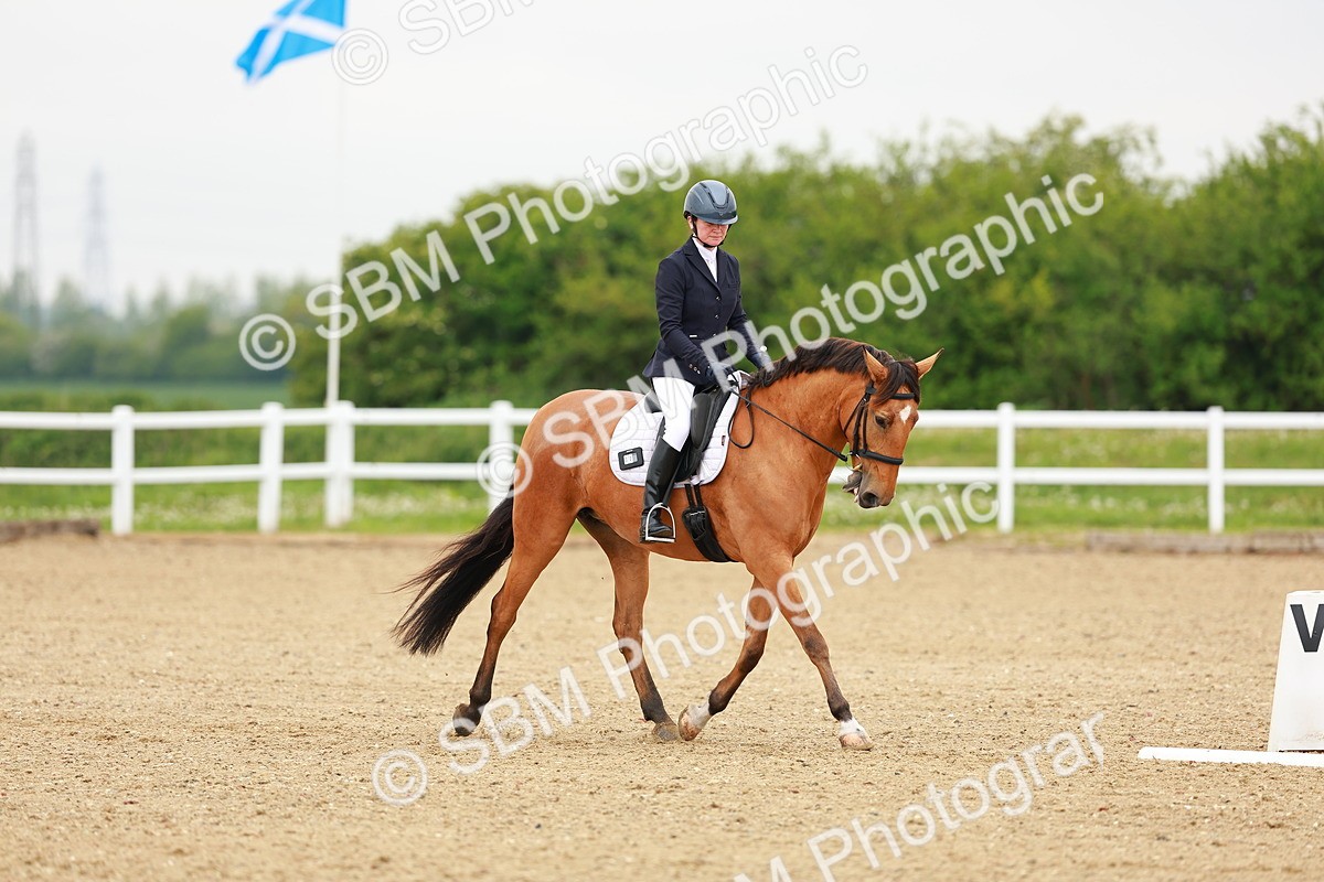 SBM_005306 - Class 16 - Novice 6