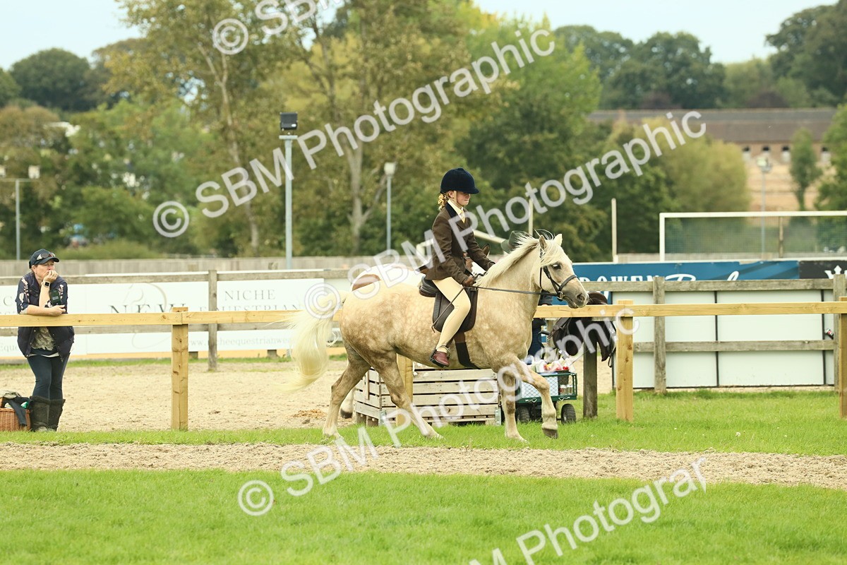 SBM_72030 - S60 - Mountain & Moorland Ridden Large Breeds
