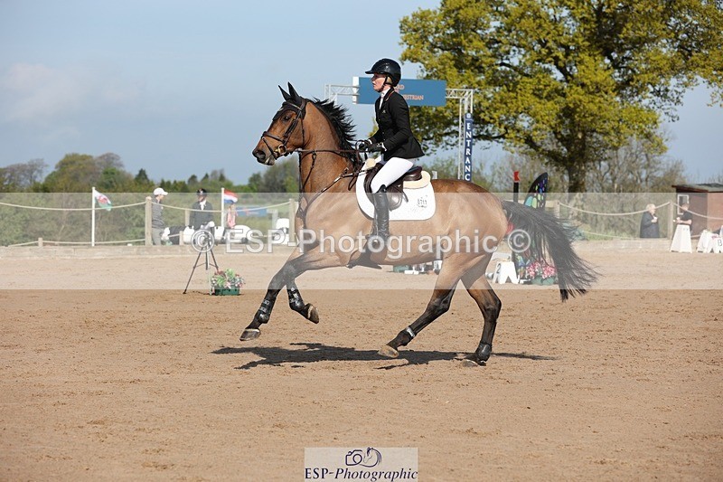 250427-095341-15119 - Cls 32 Young Horse 6yr old