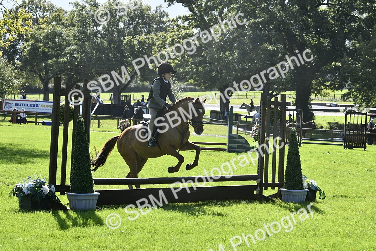 SBM_38176 - S31 - Novice & Newcomer Working Hunter Pony