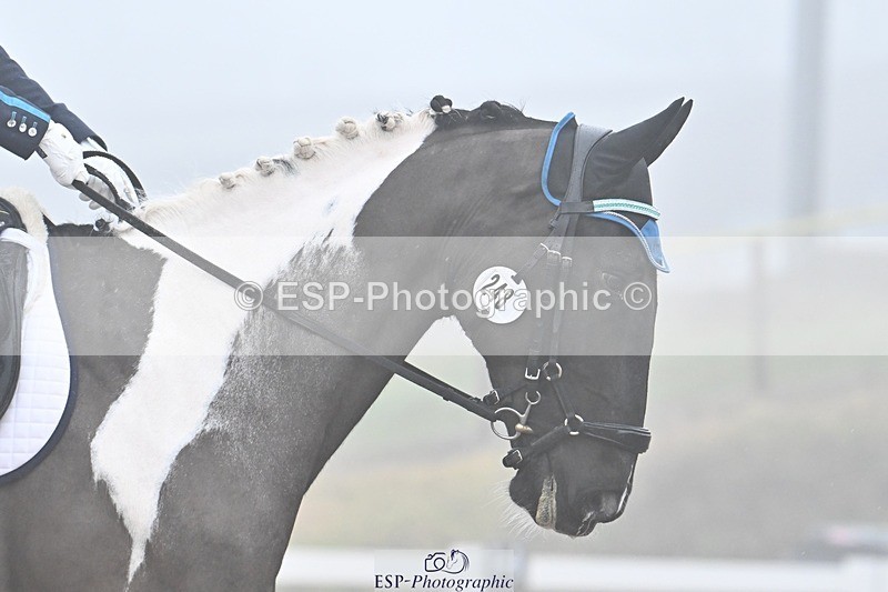 250215-094551-02867 - 248-Alys.Matravers-Tiger.Mazariti