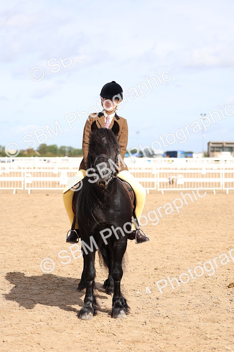 SBM_02378 - Class 19 - Horse or Pony Judge would most like to take home