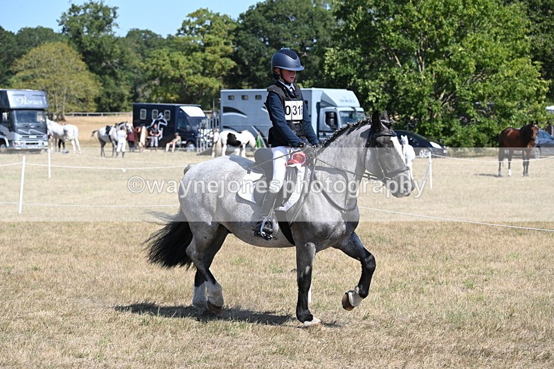 WJ6_9193 - Championship Classes 33-38