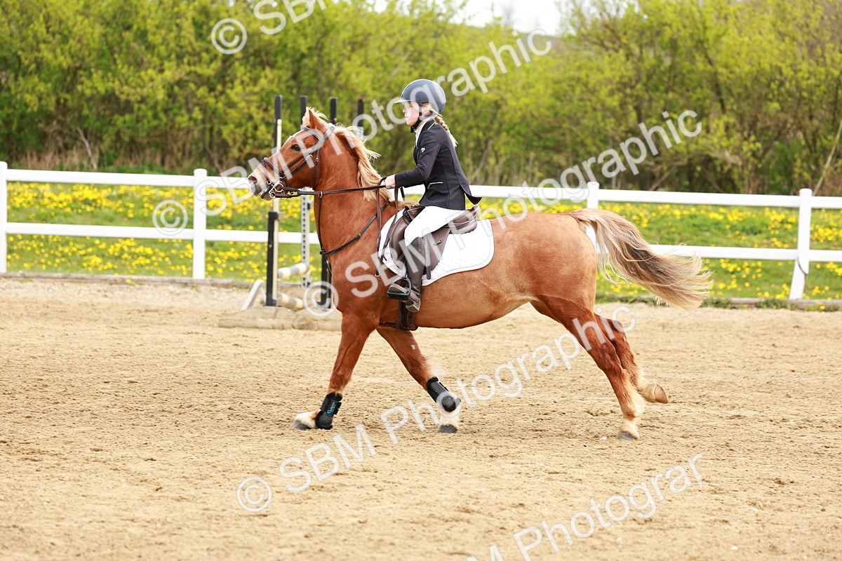 SBM_003550 - Class 2 - 50cm