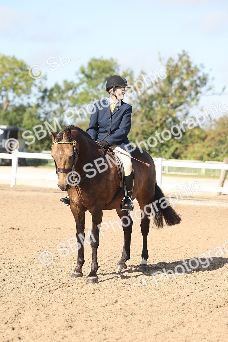 SBM_22323 - Class 803 - Ridden Combination 65+