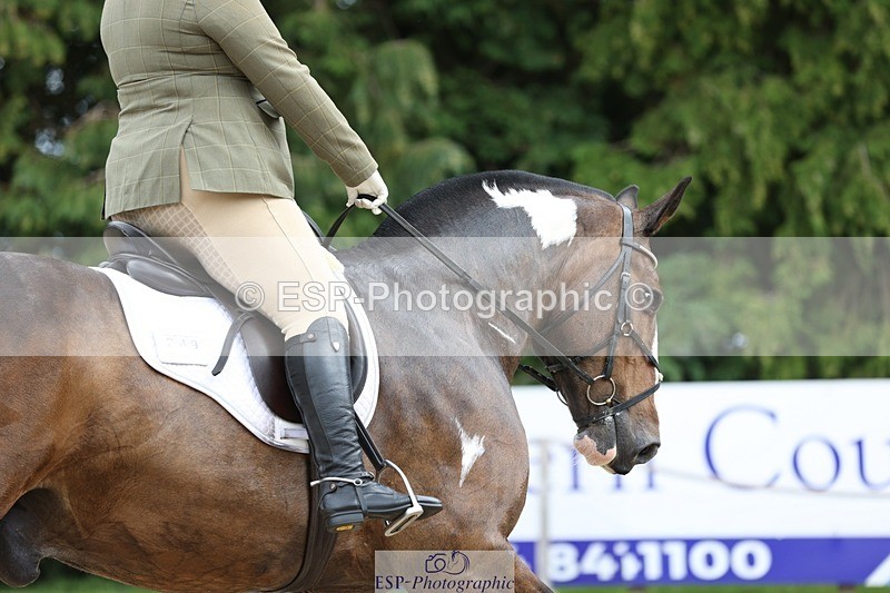 230813-131600-07293 - Cls 11 Elem Bronze 13.15 to 14.10 break