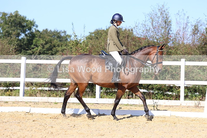 3E7A5683 - Class 10: Riding Horse