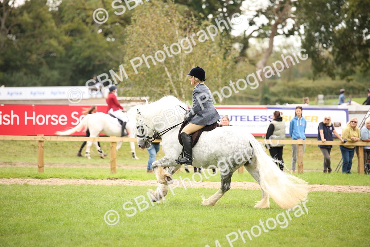 SBM_73480 - S68 - Traditional Cob Ridden