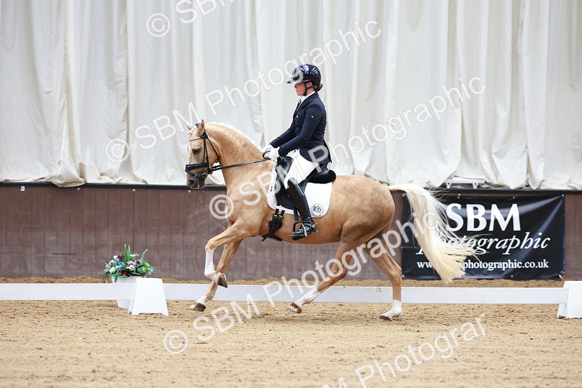 SBM_017325 - Class15 - FEI Pony