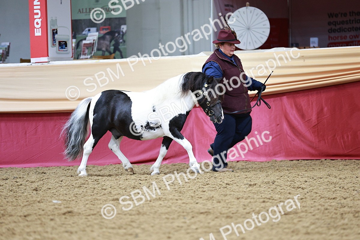 SBM_01172 - Class 3A - Area IH Pre-Vet