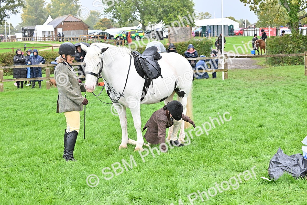SBM_43030 - S12 - Family Horse & Pony