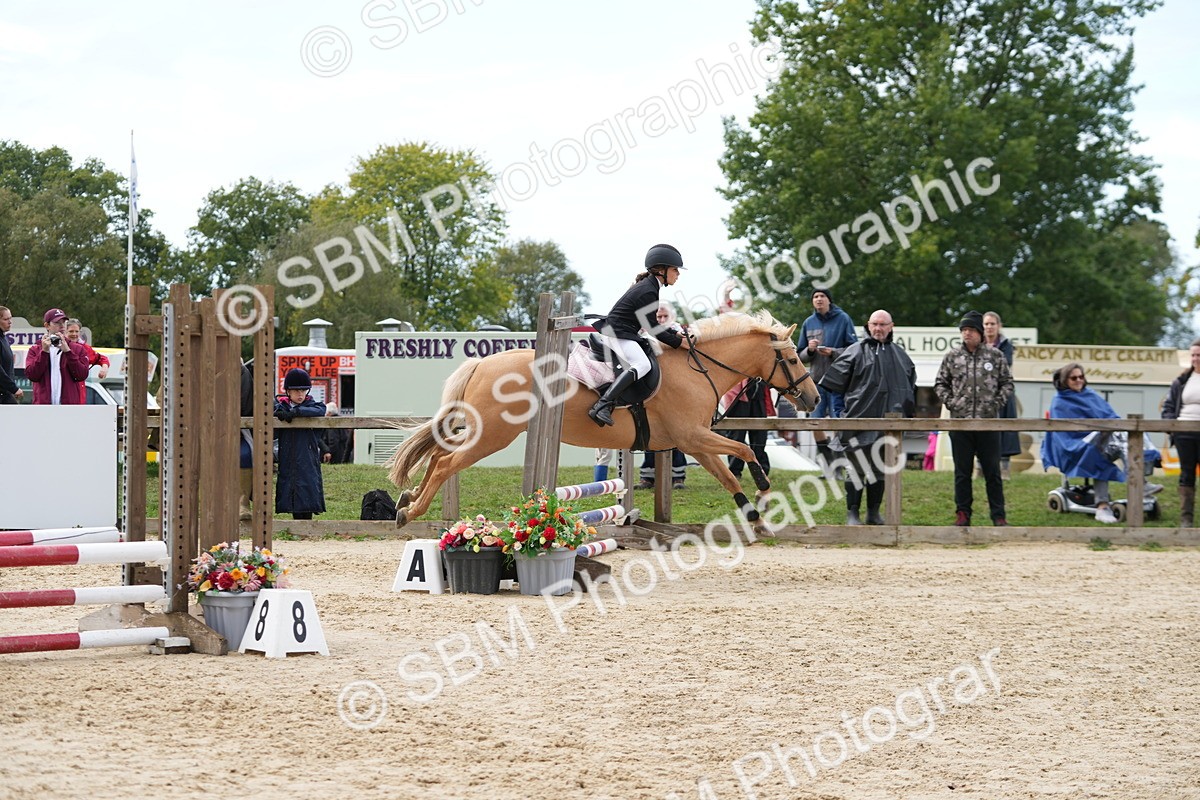 SBM_40035 - J6 - Junior Pony 55cm Championship