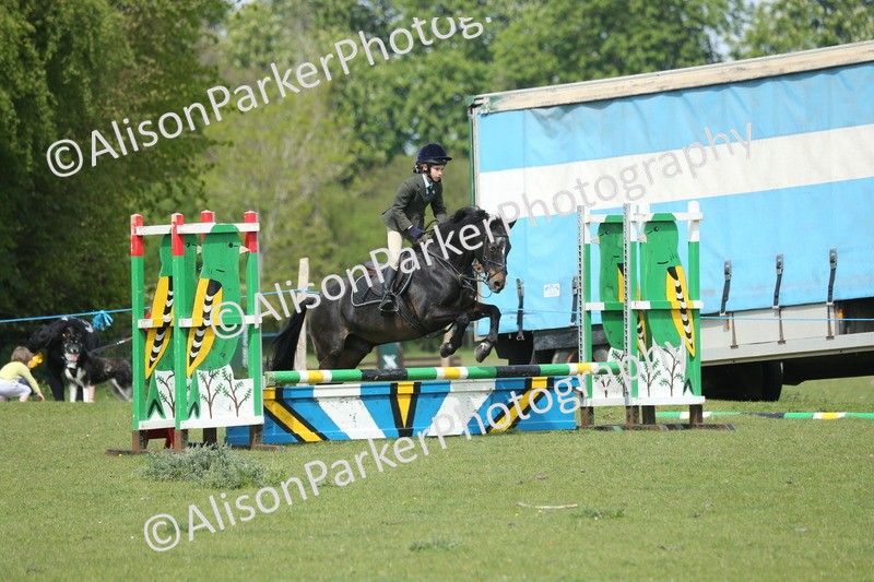 20260426-1755 - Class 14 - Novice 60cm