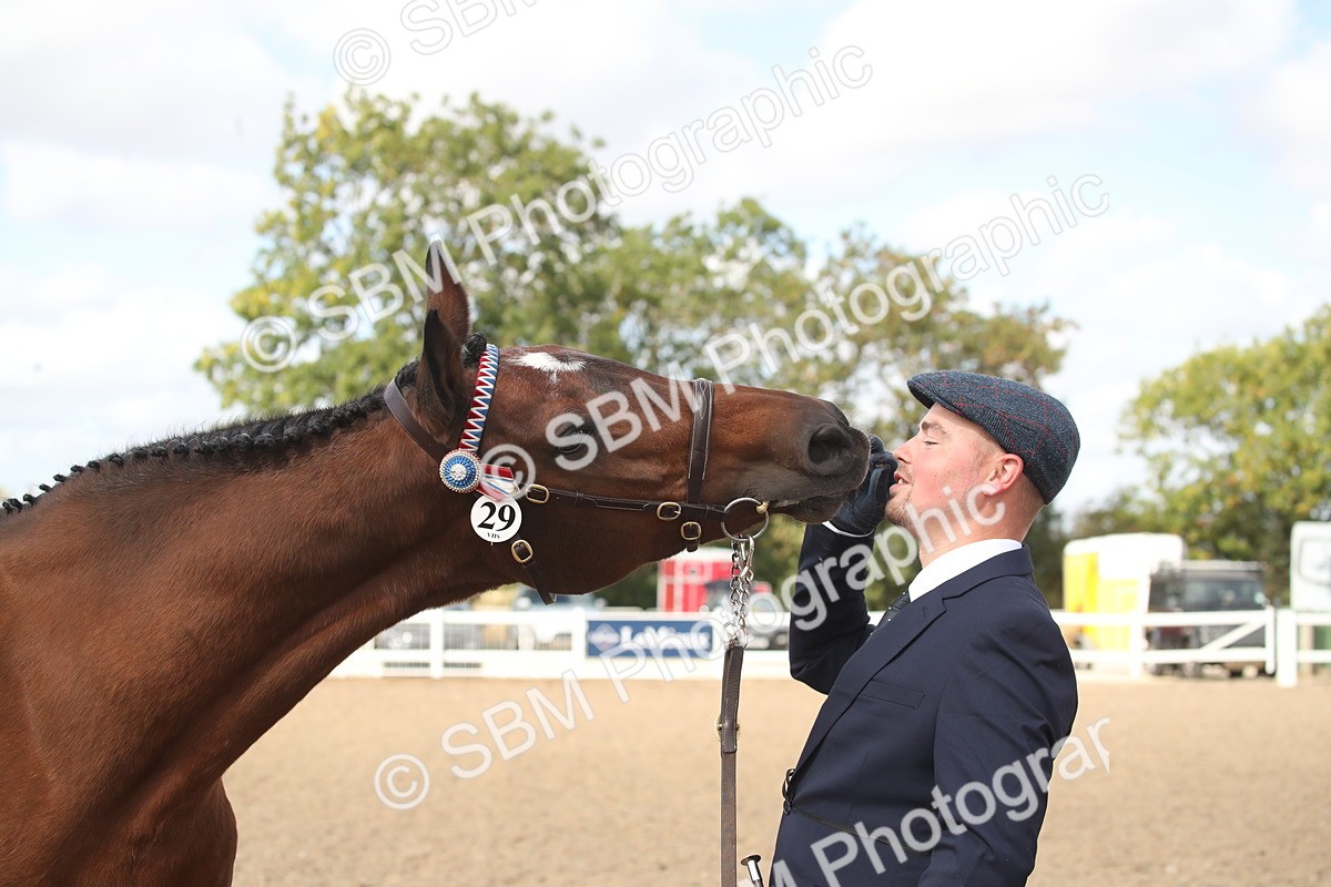 SBM_23459 - Class 604 - 2026 - Area IH Diamond