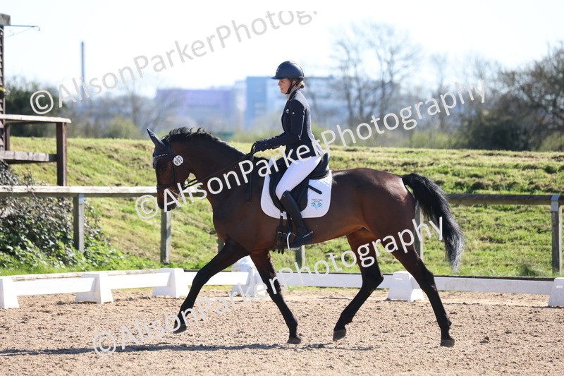 20260318-0547 - Class 5 - Novice 2