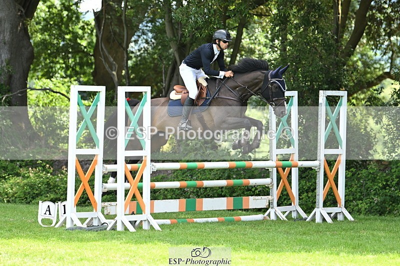 250704A-110844-07166 - Cls 25 Snr British Novice and 90cm