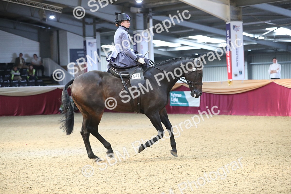 SBM_11558 - Class 105 Ridden Costume- Side Saddle