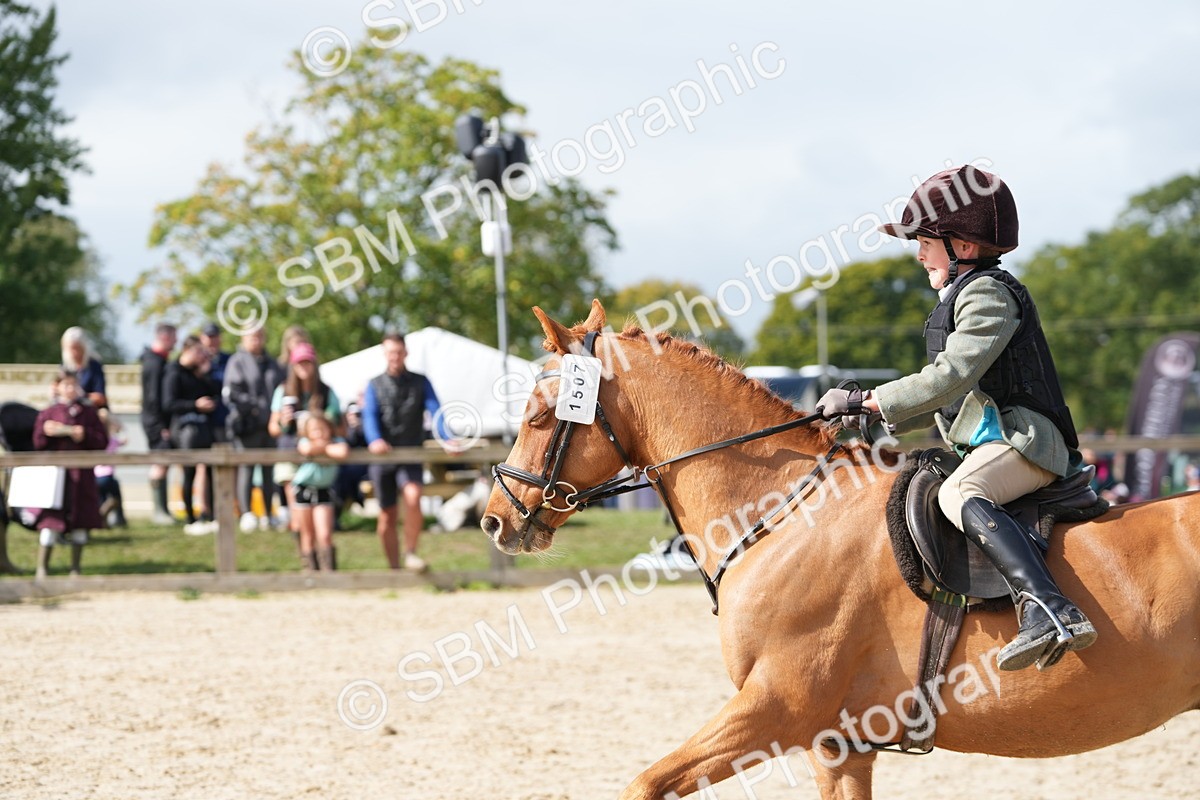 SBM_40785 - Supreme Championship Pony 50-55cm