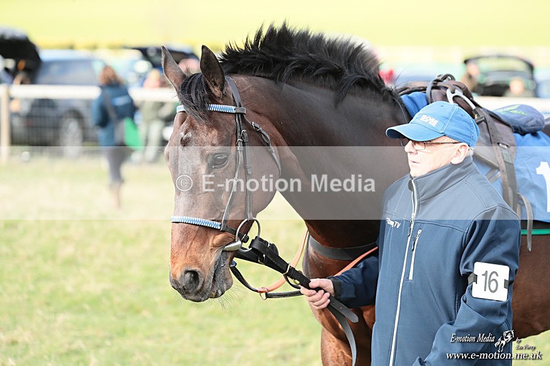 PtP 280226 207 - Kimblewick PtP Kingston Blount 28/02/26