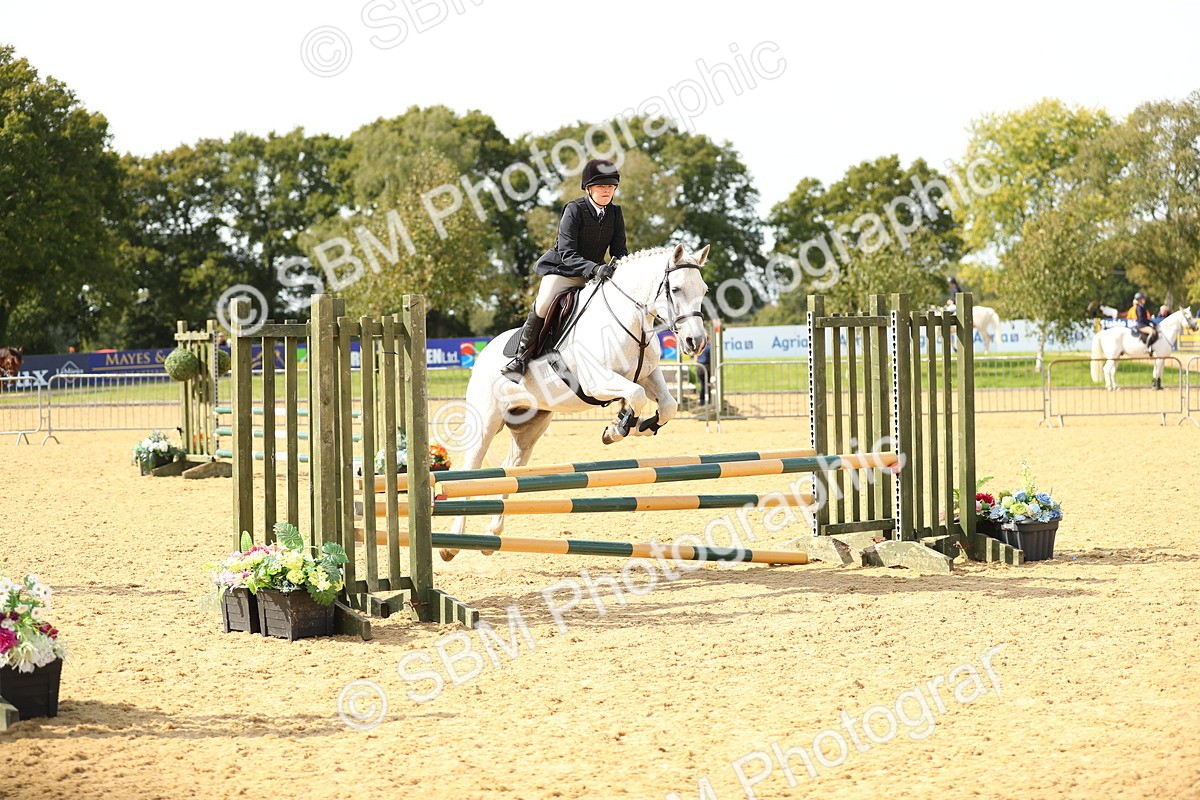 SBM_67336 - J17 - Junior Pony 80cm Championship