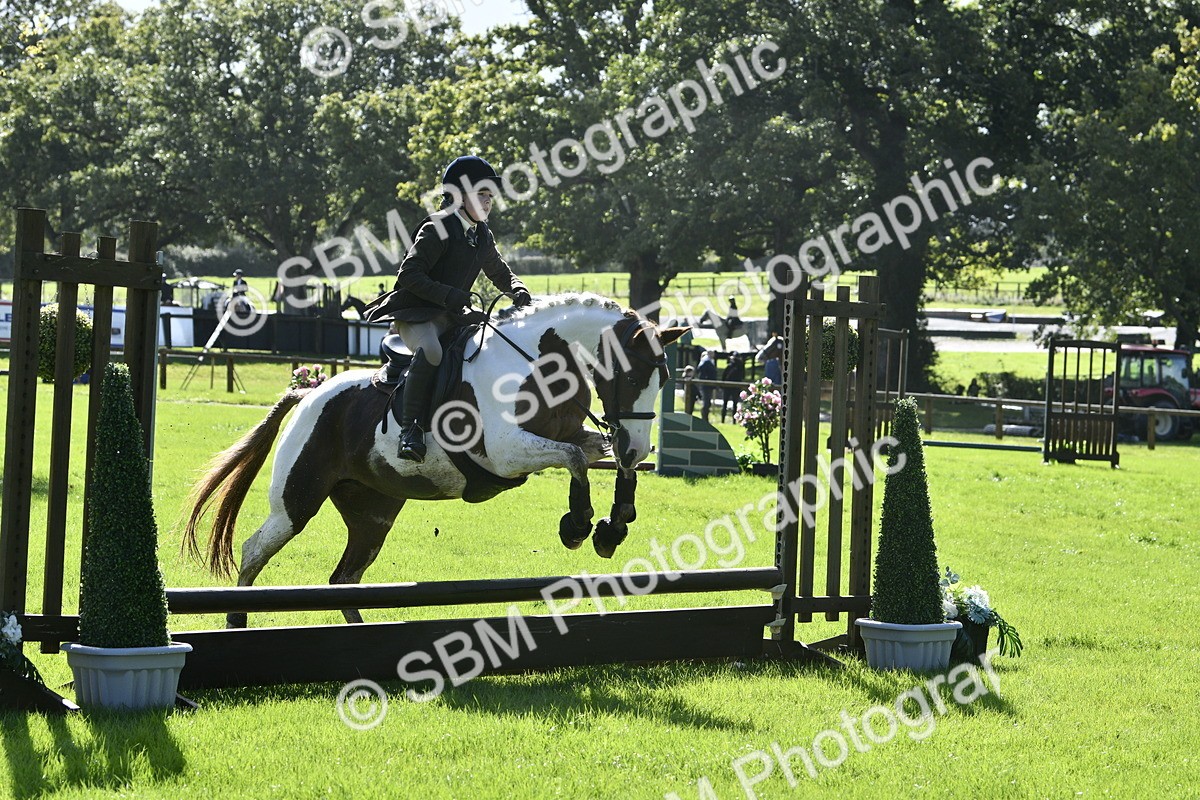 SBM_38188 - S31 - Novice & Newcomer Working Hunter Pony