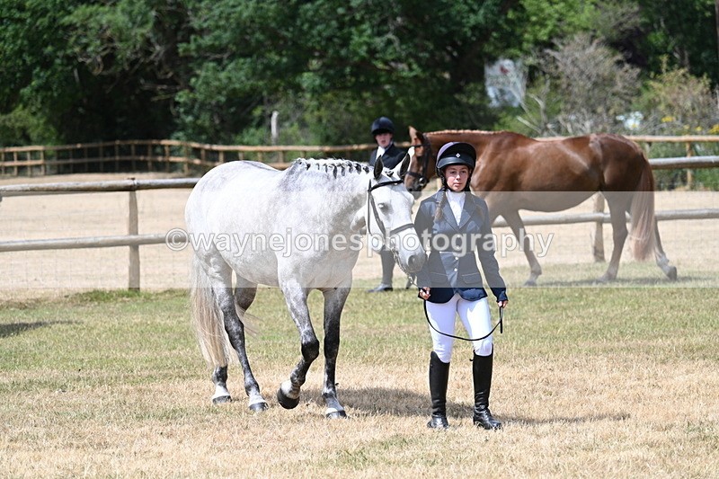 WJ7_1782 - Class 4a Prettiest Mare 14.2hh and over hand